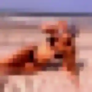 Zina, 33 ans, veut un rencontre sexe à Ajaccio