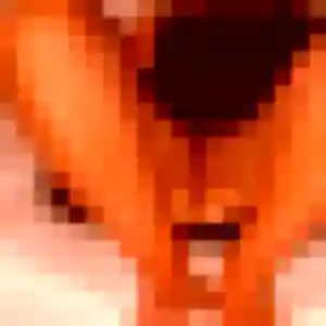 Photo de Brune à Ambarès-et-Lagrave (26 ans) - rencontre sexe sans inscription