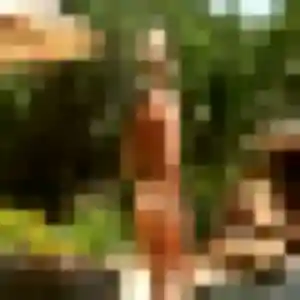 Djamila, 28 ans, connectée à Apatou pour un rencontre sexe