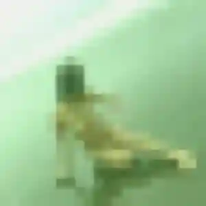 Profil de Laurence à Baillargues (22 ans) - rencontre sexe sans inscription