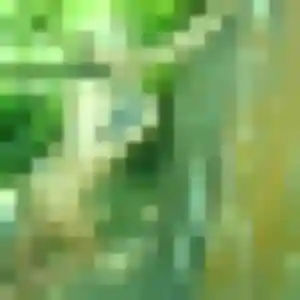 Photo de Delphine à Bellevigne-en-Layon (44 ans) - rencontre sexe sans inscription