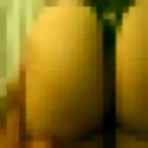 rencontre sexe à Bellevigne-en-Layon : photo de Dina, 35 ans - accès libre