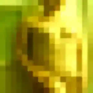 Photo de Zina à Bellevigne-en-Layon (42 ans) - rencontre sexe anonyme