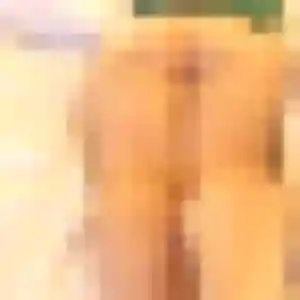 rencontre sexe à Biarritz : photo de Margot, 39 ans - accès libre