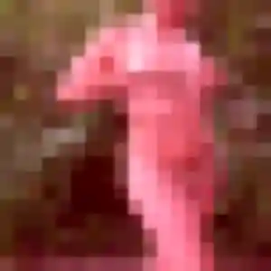 Photo de Camille à Boulazac Isle Manoire (29 ans) - rencontre sexe discret