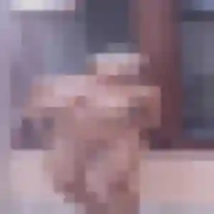 Irina, 33 ans, dispo pour rencontre sexe à Boulogne-sur-Mer