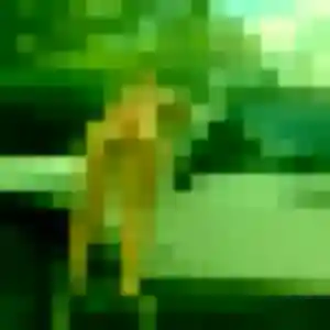 Profil de Rachel à Briec (37 ans) - rencontre sexe sans inscription