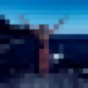 Photo de Flore à Cazouls-lès-Béziers (43 ans) - rencontre sexe anonyme