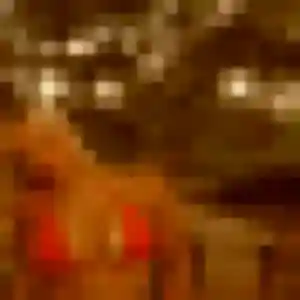 Leana, 30 ans, connectée à Clermont-Ferrand pour un rencontre sexe