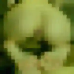 Photo exclusive de Adele, 38 ans à Clermont-l'Hérault - rencontre coquine