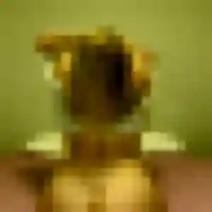 Meriem (33 ans) à Condat-sur-Vienne cherche un rencontre sexe ce soir