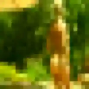 Photo de Wilhelmine à Cosne-Cours-sur-Loire (42 ans) - rencontre sexe sans inscription