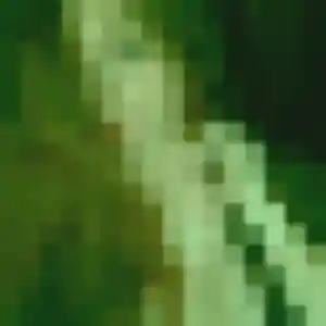 Photo de Nadine à Couzeix (39 ans) - rencontre sexe discret