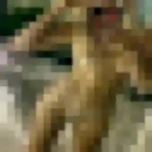 Photo exclusive de Rosemarie, 32 ans à Crolles - plan discret