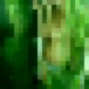 Helena, 39 ans, connectée à Crosne pour un rencontre sexe