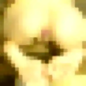 Photo sexy de Sonia, 43 ans à Donges - plan discret