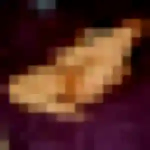 Contacte Urielle, 41 ans à Drusenheim en t'inscrivant