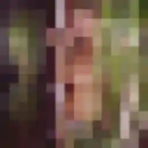 Jennifer, 39 ans, connectée à Eu pour une rencontre coquine