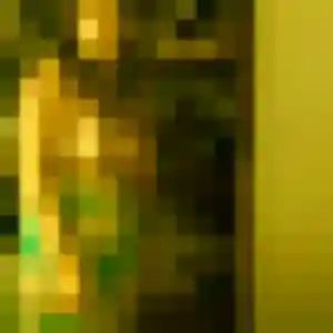 Rencontre Agathe, 28 ans à Faches-Thumesnil en privé