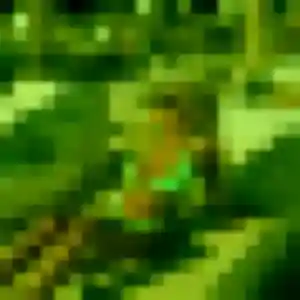 Oriane, 22 ans, disponible à Gif-sur-Yvette pour un rencontre sexe