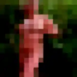 Profil de Eva à Givet (44 ans) - rencontre sexe gratuit