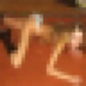 Charlotte, 43 ans, cherche un rencontre sexe à Grand-Champ