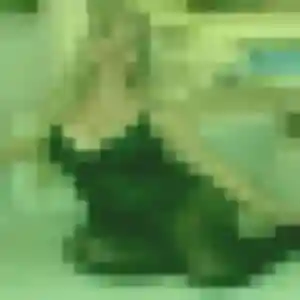 Ameline (25 ans) à Guebwiller cherche un rencontre sexe maintenant