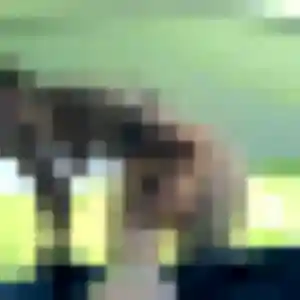 Tamara, femme de 24 ans cherche rencontre sexe à Guebwiller