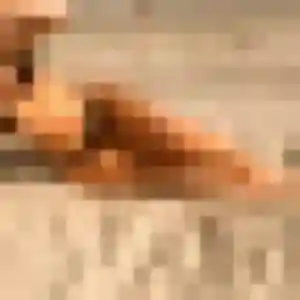 Contacte Phoebe, 22 ans à Haubourdin gratuitement