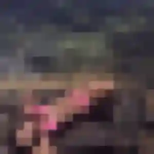 Profil de Lamia à Joinville-le-Pont (22 ans) - rencontre sexe anonyme