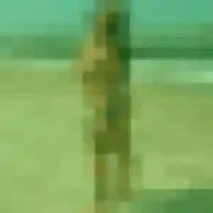 Zara, 43 ans, connectée à L'Isle-Adam pour un rencontre sexe