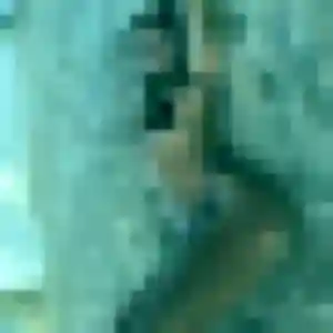 Christine, 36 ans, dispo pour rencontre sexe à La Chapelle-d'Armentières