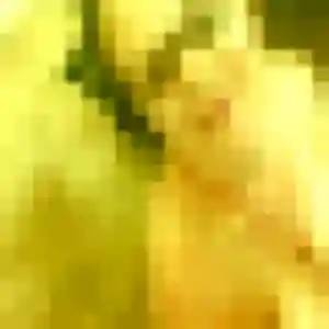 Elena, fille de 43 ans cherche rencontre sexe à Lambersart