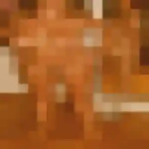 Photo exclusive de Therese, 21 ans à Landerneau - rencontre coquine