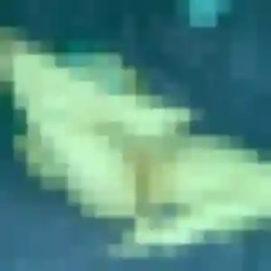 Rencontre Chiara, 24 ans à Langon en privé
