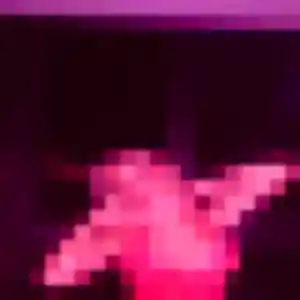 Lou-Anne, 22 ans, disponible à Le Bouscat pour une rencontre coquine