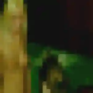 Louise, 28 ans, en ligne à Le Perray-en-Yvelines pour une rencontre coquine