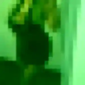 Fanny, femme de 32 ans veut rencontre sexe à Le Poiré-sur-Vie