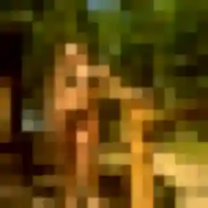 Profil de Katia à Le Pradet (42 ans) - rencontre sexe discret