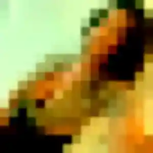 Perrine, 22 ans, dispo pour rencontre sexe à Le Raincy