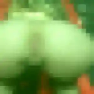 rencontre sexe à Longué-Jumelles : photo de Alice, 30 ans - inscription gratuite