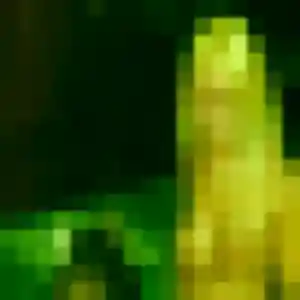 Laetitia, femme de 41 ans propose rencontre sexe à Lourdes