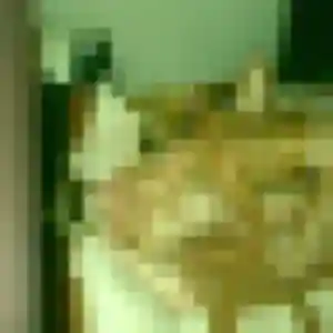 Photo de Gwenaelle à Louvres (32 ans) - rencontre sexe discret