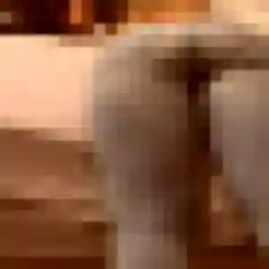 Profil de Kawtar à Lunel (30 ans) - rencontre sexe gratuit