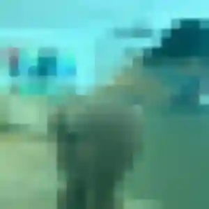 Profil de Dina à Mainvilliers (28 ans) - rencontre sexe discret