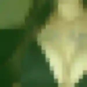 Photo privée de Domitille, 36 ans à Marignane - plan discret