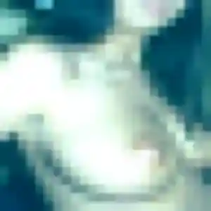 Martine, 21 ans, en ligne à Maromme pour une rencontre coquine