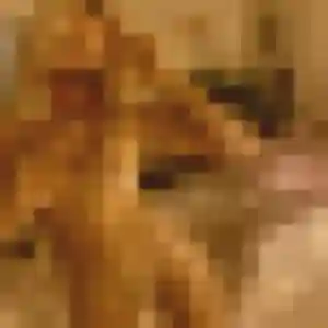 Barbara, 36 ans, dispo pour rencontre sexe à Martigues