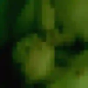 Anouk, 33 ans, en ligne à Maubeuge pour un rencontre sexe