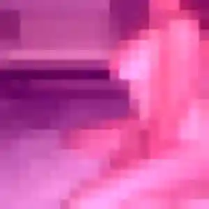 Profil de Florence à Maubeuge (21 ans) - rencontre sexe gratuit